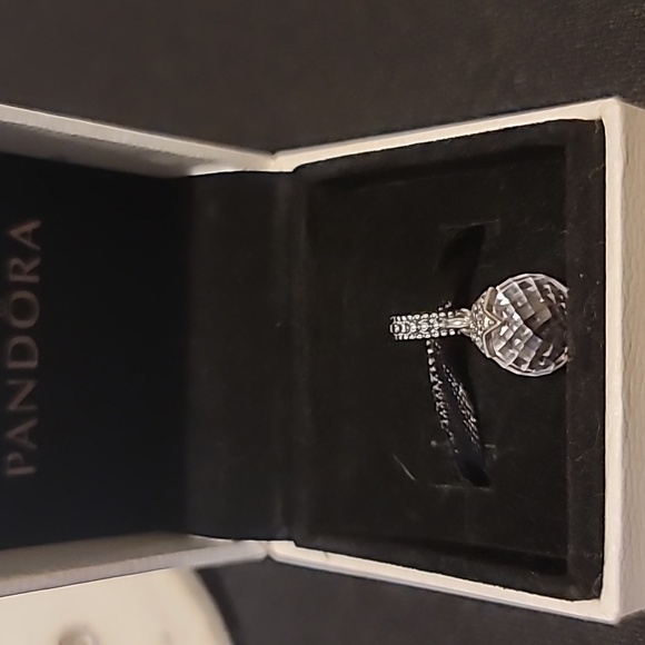 PANDORA BUNDLE Bead, dangle charm, and spacer - Picture 10 of 12